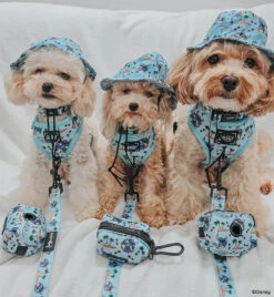 Dog Four Piece Bundle - Disney's Stitch 35 Dog Four Piece Bundle - Disney's Stitch -Furfinity Cheap Shop MOCHIII808