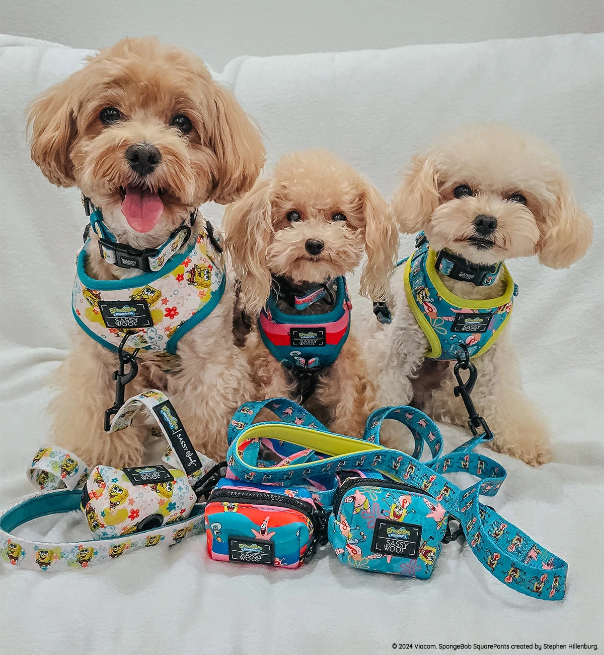 Dog Four Piece Bundle - SpongeBob SquarePants™ Bikini Bottom 19 Dog Four Piece Bundle - SpongeBob SquarePants™ Bikini Bottom - Image 17