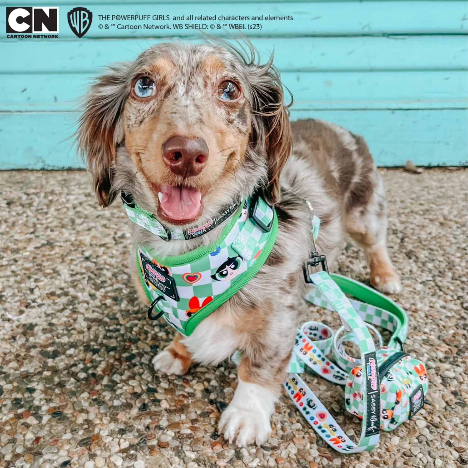 Dog Waste Bag Holder - The Powerpuff Girls™ (Green) 14 Dog Waste Bag Holder - The Powerpuff Girls™ (Green) - Image 12