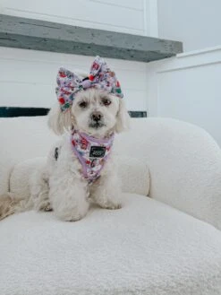 Dog Sailor Bow - Alice In Wonderland (Purple) -Furfinity Cheap Shop MOCHI THE POO 1 e4e0bd31 7aca 4ae9 9b39 26ce195f8e4b