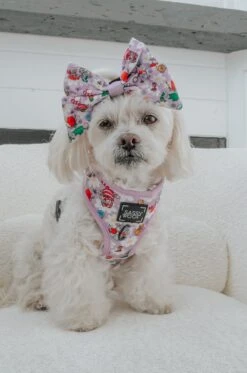 Dog Two Piece Bundle -Alice In Wonderland (Purple) -Furfinity Cheap Shop MOCHI THE POO 2 a2cda822 db99 4f00 8c65 e0da9d37b571