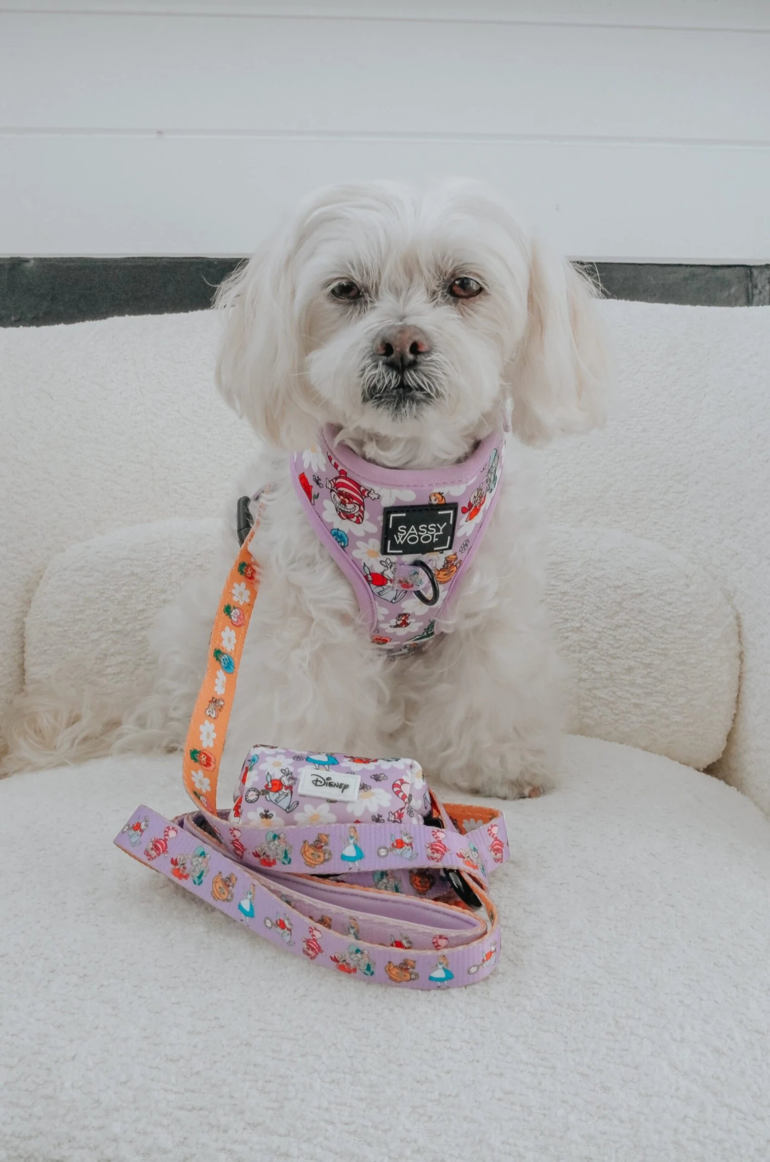 Dog Four Piece Bundle - Alice In Wonderland (Purple) 12 Dog Four Piece Bundle - Alice In Wonderland (Purple) - Image 10