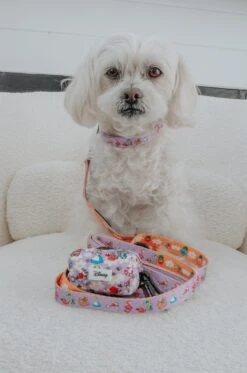 Dog Waste Bag Holder - Alice In Wonderland (Purple) -Furfinity Cheap Shop MOCHI THE POO 5 a4b4935b 3304 44dd 8671 3356d9d1f163