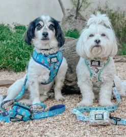 Dog Four Piece Bundle - STAR WARS™ The Child™ -Furfinity Cheap Shop MOMOSKEEDO