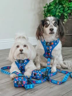 Dog Waste Bag Holder - Blue's Clues™ -Furfinity Cheap Shop MOMOSKEEDOO 2 6acb50ba 02bc 4a6d 9360 56e022f8c35a