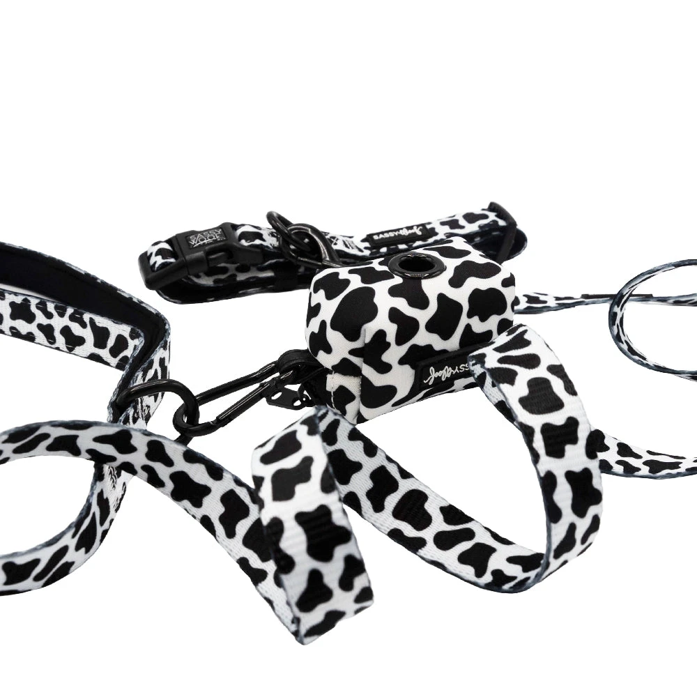 Dog Three Piece Bundle - Whole Milk 4 Dog Three Piece Bundle - Whole Milk - Image 2