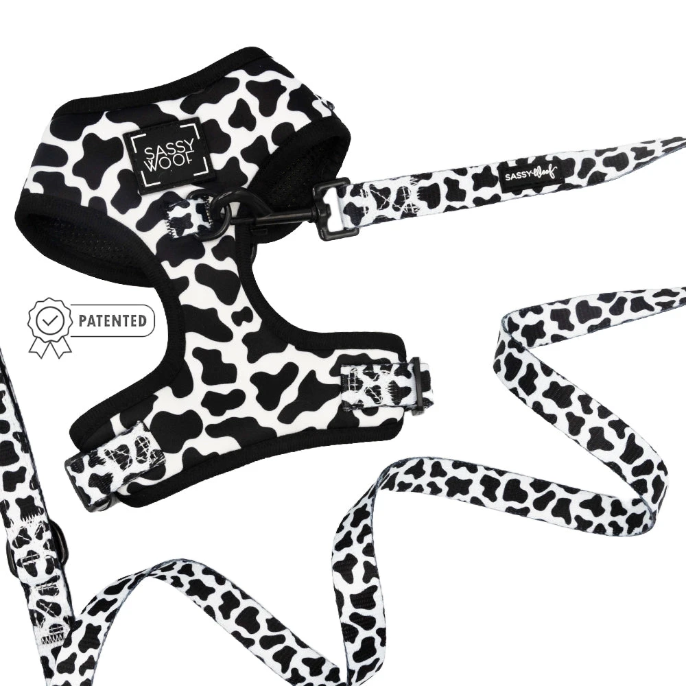 Dog Two Piece Bundle - Whole Milk 3 Dog Two Piece Bundle - Whole Milk