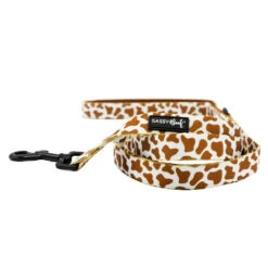 Dog Three Piece Bundle - Chocolate Milk -Furfinity Cheap Shop MOO MOO BROWN LEASH 3f50aef8 5d7c 4246 bd34 643e1b565de9
