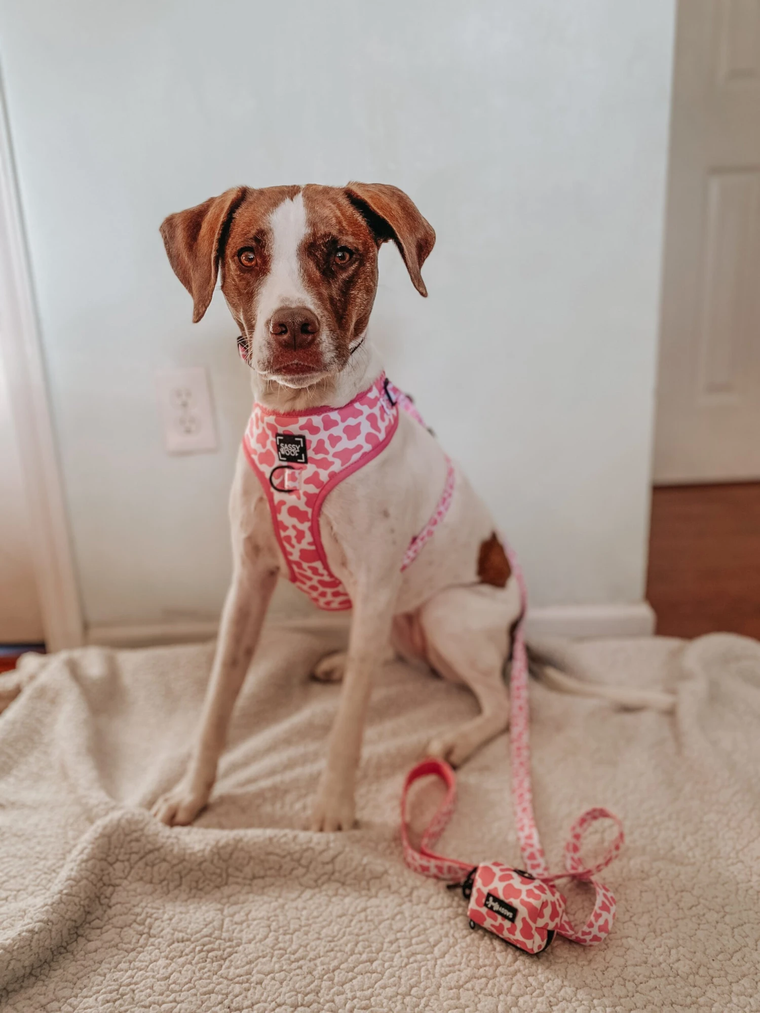 Dog Adjustable Harness - Strawberry Milk 9 Dog Adjustable Harness - Strawberry Milk - Image 7