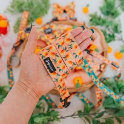 Dog Leash- Mango Tango -Furfinity Cheap Shop MangoTango Product Photos 1