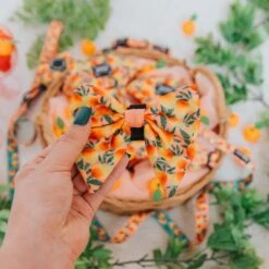 Dog Sailor Bow - Mango Tango -Furfinity Cheap Shop MangoTango Product Photos 4