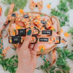 Dog Collar - Mango Tango -Furfinity Cheap Shop MangoTango Product Photos 5