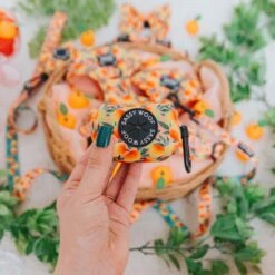 Dog Waste Bag Holder - Mango Tango -Furfinity Cheap Shop MangoTango Product Photos 6