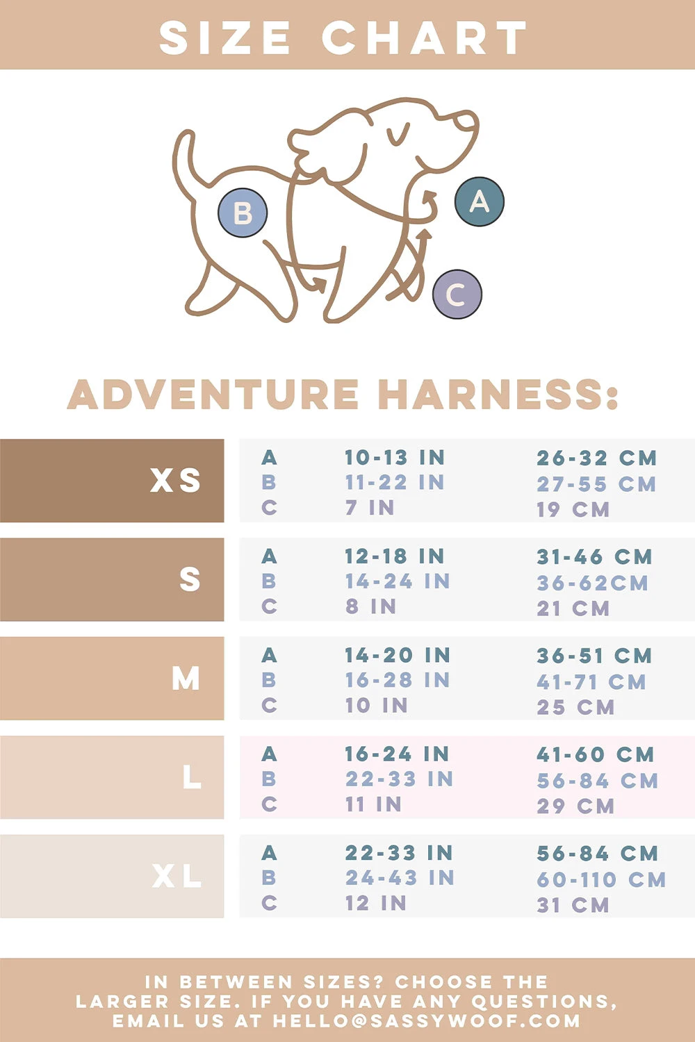 Dog Four Piece Bundle - Tropical Tides 9 Dog Four Piece Bundle - Tropical Tides - Image 7