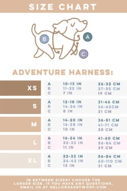 Dog Two Piece Bundle - Summer Sorbet -Furfinity Cheap Shop MardiGrasGif fe4df044 be33 4b24 a81c 8f409fe4f058 1