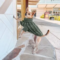 Dog Cable Knit Sweater - Dark Green -Furfinity Cheap Shop Marilyn