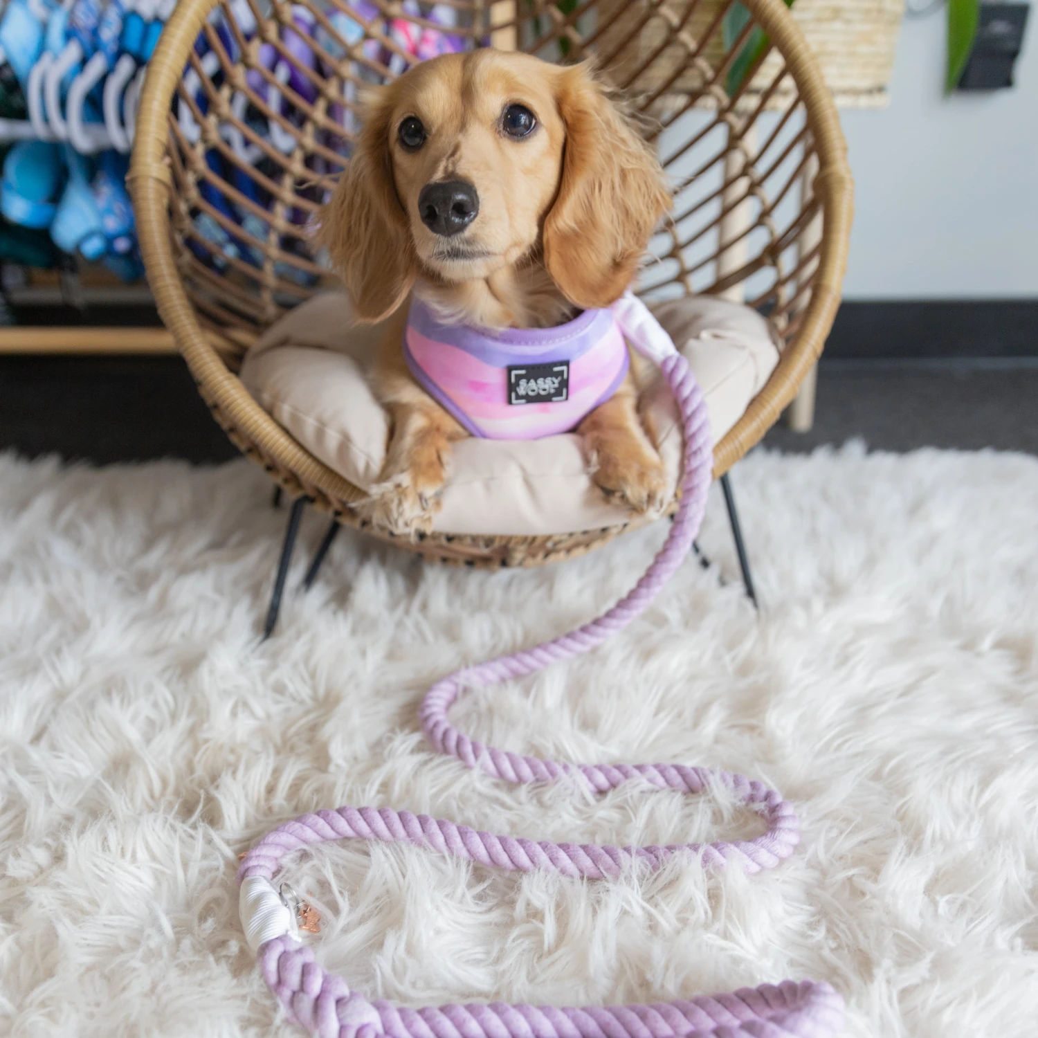 Dog Rope Leash - Lavender 7 Dog Rope Leash - Lavender - Image 5