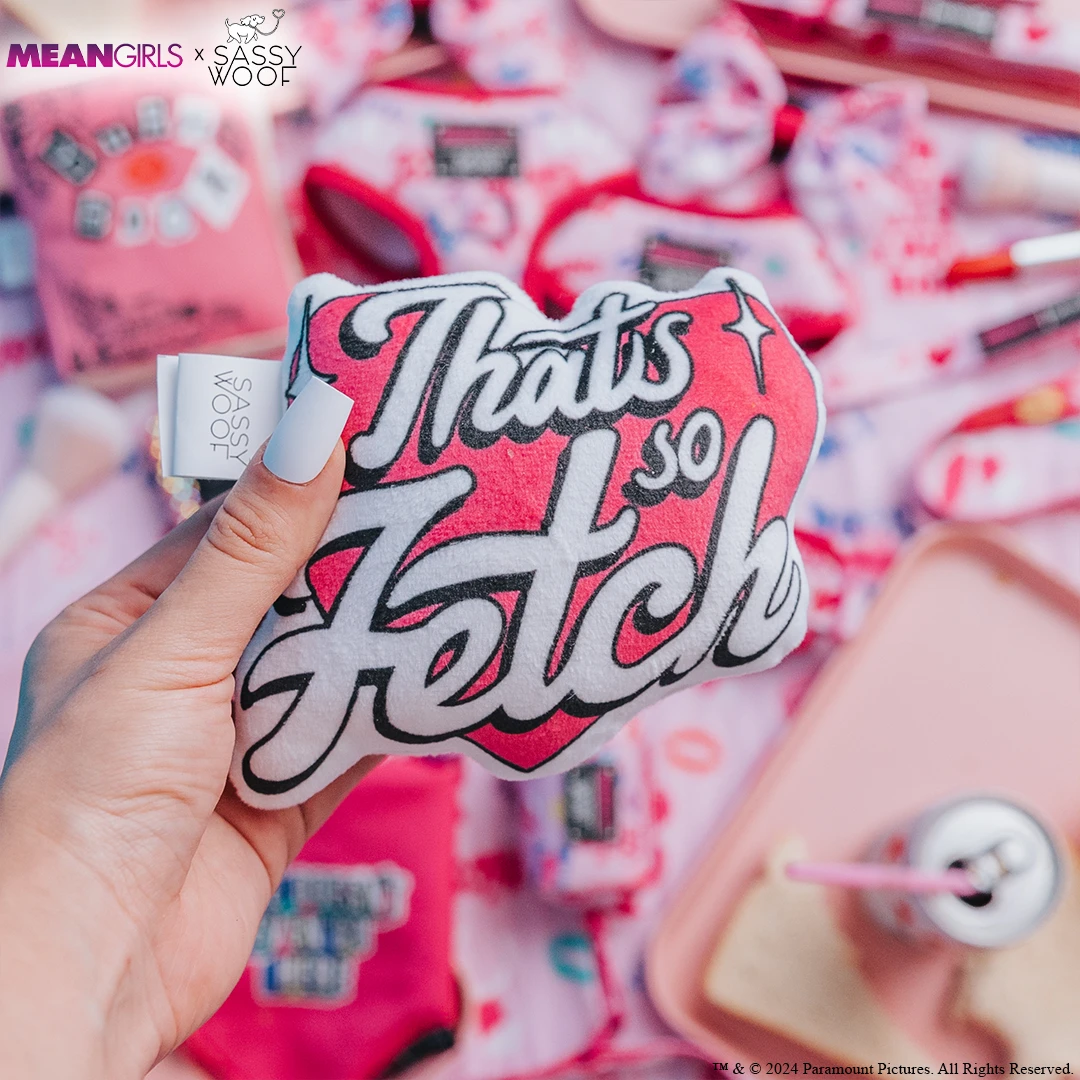 Dog Toy - Mean Girls™ 5 Dog Toy - Mean Girls™ - Image 3