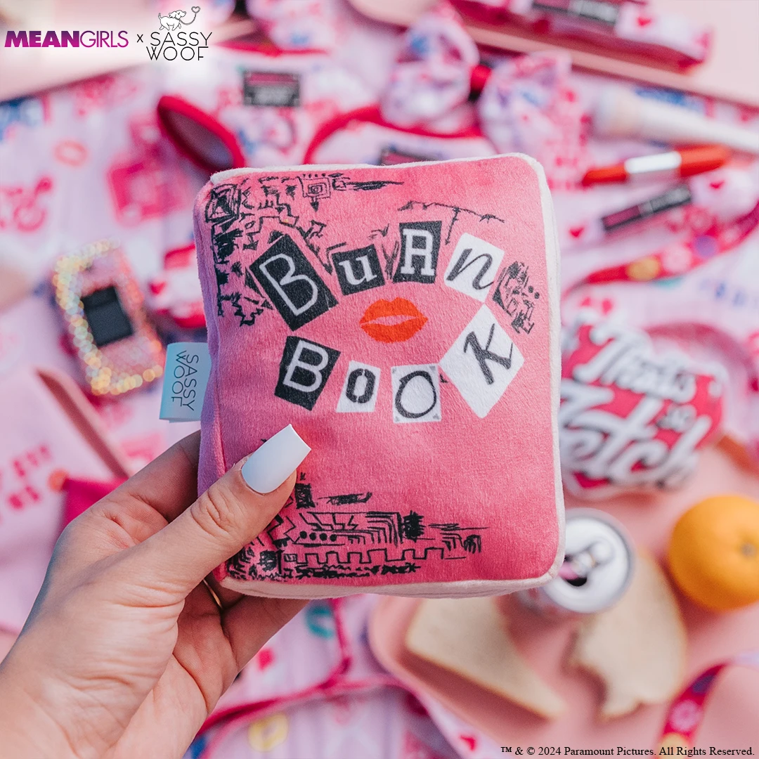 Dog Toy - Mean Girls™ 4 Dog Toy - Mean Girls™ - Image 2