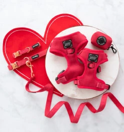 Dog Four Piece Bundle - Merlot -Furfinity Cheap Shop Merlot Dog Bundle Harness Leash Collar