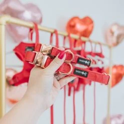 Dog Collar - Merlot -Furfinity Cheap Shop Merlot Dog Red Harness 8