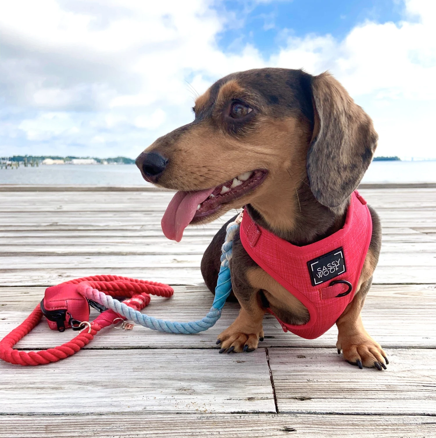 Dog Rope Leash - Watermelon Sugar 7 Dog Rope Leash - Watermelon Sugar - Image 5