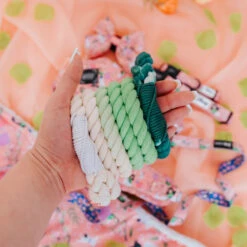 Dog Rope Leash - Disney's Mulan -Furfinity Cheap Shop Mulan ProductPhotos 9