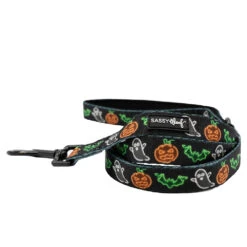 Dog Two Piece Bundle - Neon Frights -Furfinity Cheap Shop NEON FRIGHTS SASSY WOOF LEASH 1f567cfb 2718 44ce a095 19ed7ee3a184