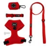 Dog Four Piece Bundle - Neon Red 1 Dog Four Piece Bundle - Neon Red -Furfinity Cheap Shop NEON RED BUNDLE HARNESS