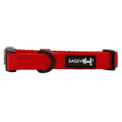 Dog Collar - Neon Red -Furfinity Cheap Shop NEON RED COLLAR 2
