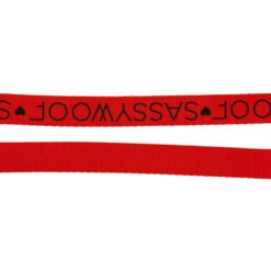 Dog Leash - Neon Red -Furfinity Cheap Shop NEON RED LEASH 3