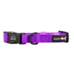 Dog Collar - Neon Purple -Furfinity Cheap Shop NEONPURPLE dog collar 1