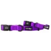 Dog Collar - Neon Purple -Furfinity Cheap Shop NEONPURPLE dog collar 3 1