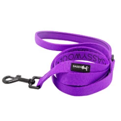 Dog Four Piece Bundle - Neon Purple -Furfinity Cheap Shop NEONPURPLE dog leash 2 1