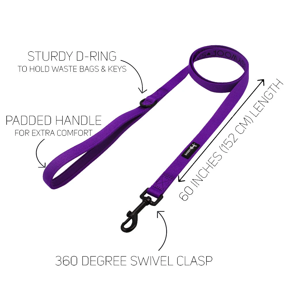 Dog Leash - Neon Purple 6 Dog Leash - Neon Purple - Image 4