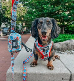 Dog Waste Bag Holder - Looney Tunes™ Blue -Furfinity Cheap Shop NICO MINISAUSAGE 5