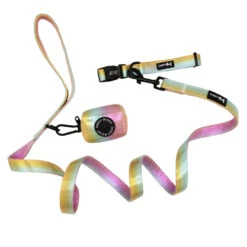 Dog Three Piece Bundle - The Night Life