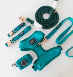 Dog Leash - Napa 15 Dog Leash - Napa -Furfinity Cheap Shop NapaBundle2 d1c8f2ff 5af5 4ea3 8cba 68b4bed94cb1