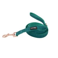 Dog Two Piece Bundle -Napa 10 Dog Two Piece Bundle -Napa -Furfinity Cheap Shop NapaFabricDogLeash 1 2