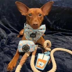 Dog Rope Leash - Natural -Furfinity Cheap Shop NaturalModel