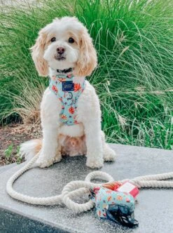 Dog Rope Leash - Natural -Furfinity Cheap Shop Natural 1