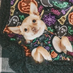 Dog Four Piece Bundle - Neon Frights -Furfinity Cheap Shop NeonFrights1