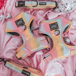 Dog Four Piece Bundle - The Night Life -Furfinity Cheap Shop Nightlife 1x