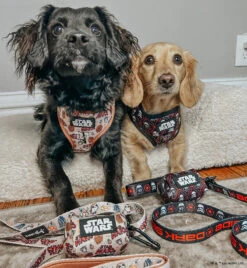 Dog Four Piece Bundle - STAR WARS™ The Dark Side -Furfinity Cheap Shop OBI WEENKENOBI 2 9a95c0bc 009e 4336 8225 4c01ae42eb4b