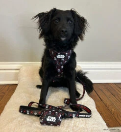 Dog Waste Bag Holder - STAR WARS™ The Dark Side -Furfinity Cheap Shop OBI WEENKENOBI 5