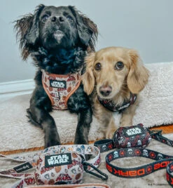 Dog Waste Bag Holder - STAR WARS™ The Dark Side -Furfinity Cheap Shop OBI WEENKENOBI 761f0a87 d015 4e33 87f7 43c6a72010fb