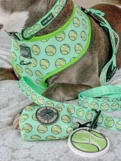 Dog Collar - Serving Up Sass 21 Dog Collar - Serving Up Sass -Furfinity Cheap Shop OLIVERTHESWEETBOY 1 8247bc0c 5614 4c88 960d a619f8b2de12