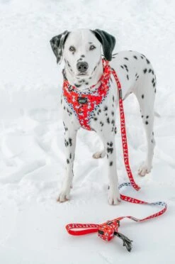 Dog Waste Bag Holder - Disney's 101 Dalmatians -Furfinity Cheap Shop ORIONTHEDAL 2 c4d4a391 f20f 41e0 9a48 c63434667640