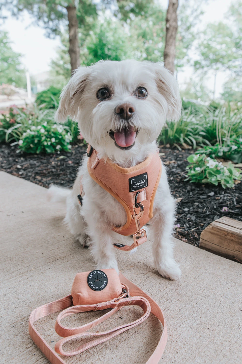 Dog Waste Bag Holder - Apple Cider 8 Dog Waste Bag Holder - Apple Cider - Image 6