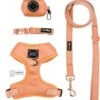 Dog Four Piece Bundle - Apple Cider -Furfinity Cheap Shop Orange Fall Dog Bundle Patented